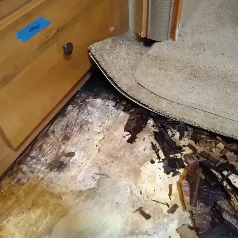 Wood Floor Water Damage in Lake Shore, MD